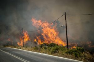 Φωτιά σε δασική έκταση στην Εφύρα Ηλείας: Σε πλήρη ανάπτυξη οι δυνάμεις της Πυροσβεστικής