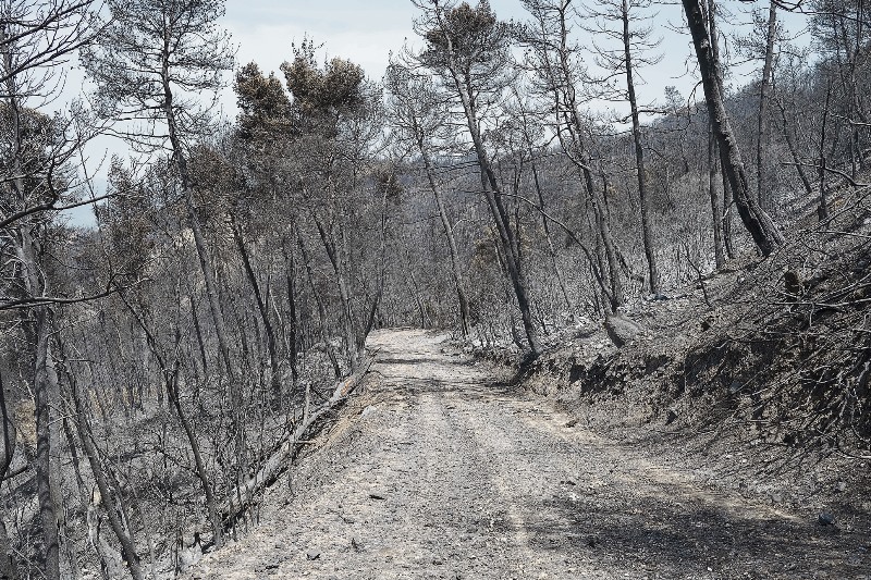 Επιχείρηση Εντοπισμού Γερμανού Τουρίστα Σε Εξέλιξη Στα Χανιά