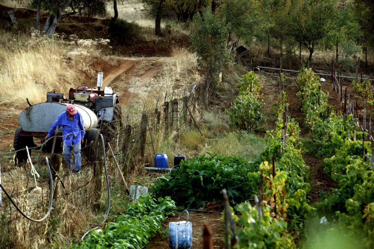 Η Κρίση των Μικρών Αγροκτημάτων στην Ευρώπη και η Ανάγκη για Βιώσιμες Πολιτικές Ανάπτυξης